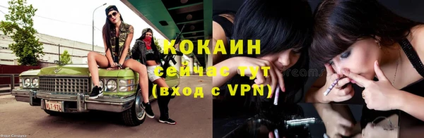 PSILOCYBIN Зеленодольск