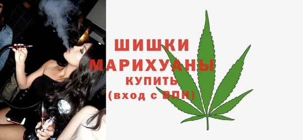 твердый Заводоуковск