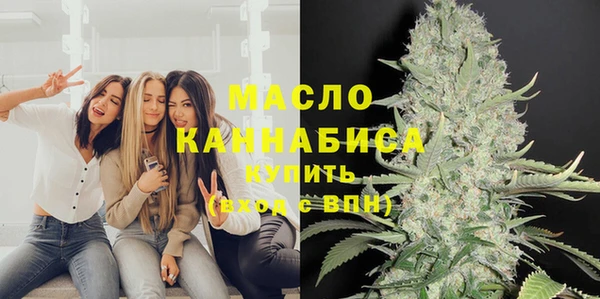 твердый Заводоуковск