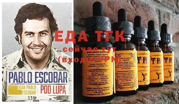 твердый Заводоуковск