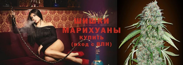 твердый Заводоуковск