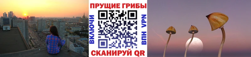 Псилоцибиновые грибы MAGIC MUSHROOMS  гидра ссылка  Искитим  закладка 