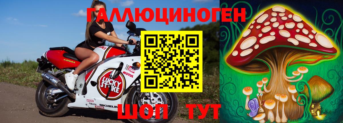Псилоцибиновые грибы Cubensis Искитим